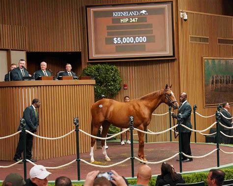 keeneland sales results|Keeneland September Yearling Sale Day Ten results.